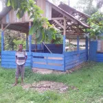 Miris, Warga Anggloripo Konut Gunakan Musolah Nyaris Runtuh Miris, Warga Anggloripo Konut Gunakan Musolah Nyaris Runtuh