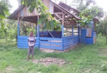 Miris, Warga Anggloripo Konut Gunakan Musolah Nyaris Runtuh Miris, Warga Anggloripo Konut Gunakan Musolah Nyaris Runtuh