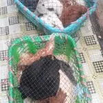 Dukung Mahasiswa Berwirausaha, FPt UHO Sediakan Fasilitas Pendukung Dukung Mahasiswa Berwirausaha, FPt UHO Sediakan Fasilitas Pendukung