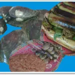 5 Makanan Khas Sulawesi Tenggara Yang Membuat Anda Ketagihan