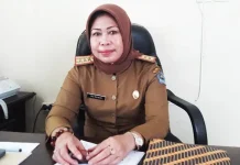 BLH Kendari Survei Masyarakat Terkait Kantong Plastik Berbayar, Ini Hasil Surveinya Belanja Pakai Kantong Plastik di Kendari Bakal Dikenakan Biaya