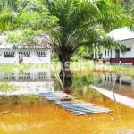 Tergenang Air, Aktivitas SDN 1 Puusuli Konawe Utara Lumpuh Tergenang Air, Aktivitas SDN 1 Puusuli Konawe Utara Lumpuh