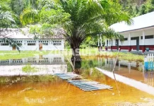 Siswa SDN 1 Puusuli di Konut Prustasi Sudah 3 Minggu Tak Belajar Tergenang Air, Aktivitas SDN 1 Puusuli Konawe Utara Lumpuh