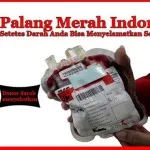 DBD Mewabah, PMI Jamin Stok Darah di Kendari Cukup DBD Mewabah, PMI Jamin Stok Darah di Kendari Cukup