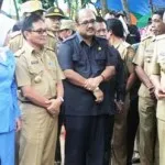 tony_advertorial_enam