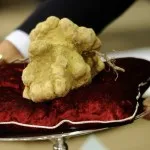 Italian White Alba Truffle