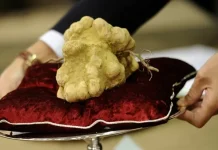 5 makanan termahal di dunia