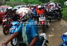 KPUD Pleno PPK PSU, Ratusan Massa Dokter Pilihanku Gelar Aksi Konvoi KPUD Pleno PPK PSU, Ratusan Massa Dokter Pilihanku Gelar Aksi Konvoi