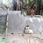 Warga di Dua Desa di Wawonii Timur Krisis Air Bersih, Ini Penyebabnya Warga di Dua Desa di Wawonii Timur Krisis Air Bersih, Ini Penyebabnya