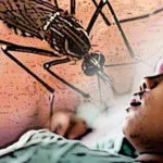 Tak Hanya Corona, Warga Konsel Juga Diimbau Waspada DBD Demam Berdarah Merebak di Sultra, 65 Terjangkit 1 Meninggal