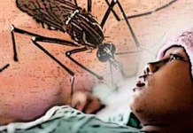 Ditengah Covid-19, Lima Warga Kendari Meninggal Karena DBD Demam Berdarah Merebak di Sultra, 65 Terjangkit 1 Meninggal