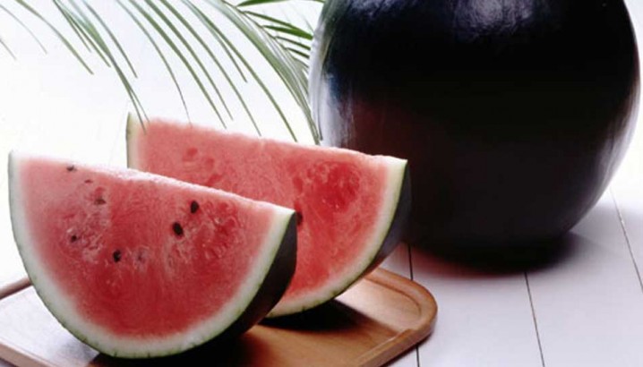 densuke black water melon