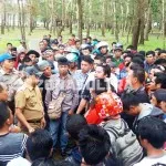 Kepala BKPMD Sultra : PT. VDNI Tak Punya Itikad Baik Bertemu Pemprov Sultra Kepala BKPMD Sultra : PT. VDNI Tak Punya Itikad Baik Bertemu Pemprov Sultra