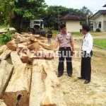 Polda Sultra Amankan Puluhan Kayu Jati Ilegal Polda Sultra Amankan Puluhan Kayu Jati Ilegal