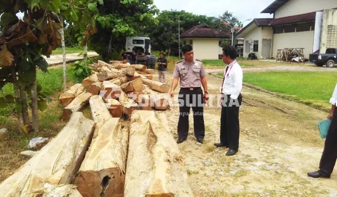 Polda Sultra Amankan Puluhan Kayu Jati Ilegal