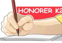 2000-an Honorer K2 Kendari Harus Berebut 35 Kursi CPNS Pengusulan 100 Persen, BKD Konut Tunggu STTPL PNS K2