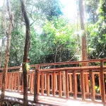 UHO Pra Launching Kebun Raya, Pertama di Indonesia UHO Pra Launching Kebun Raya, Pertama di Indonesia