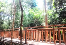 UHO Pra Launching Kebun Raya, Pertama di Indonesia UHO Pra Launching Kebun Raya, Pertama di Indonesia