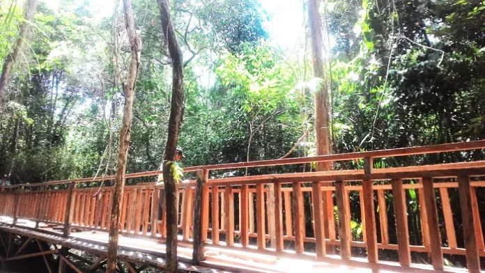 UHO Pra Launching Kebun Raya, Pertama di Indonesia