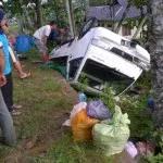 Ban Bocor, Mobil Pengangkut Sayur Terbalik Ban Bocor, Mobil Pengangkut Sayur Terbalik