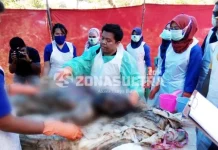 Jenasah Korban Meninggal di Atas Plafon Diotopsi di Atas Kuburan Jenasah Korban Meninggal di Atas Plafon Diotopsi di Atas Kuburan