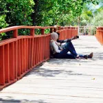 FOTO : Bersantai Sambil Menikmati Mangrove wisata mangrove kendari