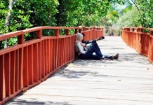 FOTO : Bersantai Sambil Menikmati Mangrove wisata mangrove kendari