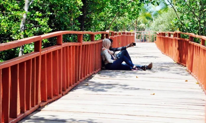 wisata mangrove kendari