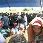 Masalah SKTT di TPS Marobo Kembali Muncul Masalah SKTT di TPS Marobo Kembali Muncul