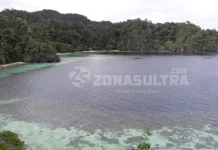 Berkunjung Saat Libur Lebaran, Investor Wisata Larang Pengunjung Masuk ke Labengki Pulau Labengki, Cahaya Surganya Alam Sultra