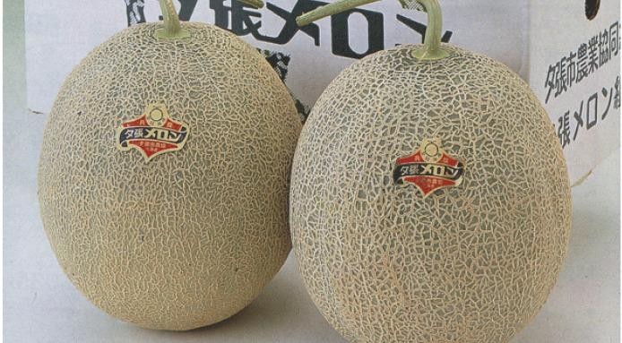 yubari kings melon