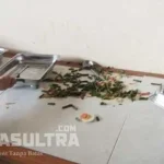 Cabor Minta Pengelola Katering Pelatda Diganti Makanan Kurang, Atlet PON Sultra Ngamuk