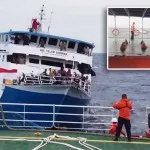 Gelombang Tinggi, Proses Evakuasi Penumpang KM Teluk Sabrina Terhambat Gelombang Tinggi, Proses Evakuasi Penumpang KM Teluk Sabrina Terhambat