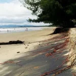 abrasi_pantai_wanggudu