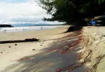 Abrasi Ancam Wisata Pantai Panggulawu