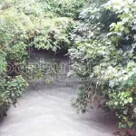 Bocah 4 Tahun Tewas Terseret Arus Sungai