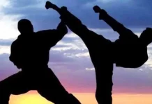 Taekwondo Berharap Dispora Sultra Bentuk PPLD Ilustrasi