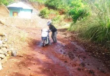 Ilegal Loging Jadi Salah Satu Penyebab Banjir di Kecamatan Konawe Utara Ilegal Loging Jadi Salah Satu Penyebab Banjir di Kecamatan Konawe Utara