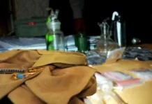 PNS Terlibat Narkoba, Harus Ditindak Tegas PNS Terlibat Narkoba, Harus Ditindak Tegas