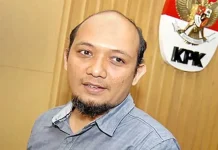 Beri Keterangan Bohong, Novel Baswedan: Kita Pidanakan Beri Keterangan Bohong, Novel Baswedan: Kita Pidanakan