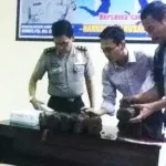 Polda Sultra Berhasil Amankan 18 Kg Ganja Yang Disamarkan Dalam Gula Merah Polda Sultra Berhasil Amankan 18 Kg Ganja Yang Disamarkan Dalam Gula Merah