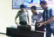 Polda Sultra Berhasil Amankan 18 Kg Ganja Yang Disamarkan Dalam Gula Merah Polda Sultra Berhasil Amankan 18 Kg Ganja Yang Disamarkan Dalam Gula Merah