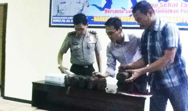 ganja_gula_merah Polda Sultra Berhasil Amankan 18 Kg Ganja Yang Disamarkan Dalam Gula Merah
