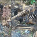 Warga Tomia Temukan Mayat Tinggal Tengkorak Warga Tomia Temukan Mayat Tinggal Tengkorak