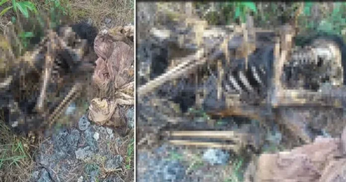 Warga Tomia Temukan Mayat Tinggal Tengkorak