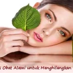 15 Obat Tradisional Alami Untuk Menghilangkan Jerawat 15 Obat Tradisional Alami Untuk Menghilangkan Jerawat