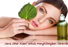 15 Obat Tradisional Alami Untuk Menghilangkan Jerawat 15 Obat Tradisional Alami Untuk Menghilangkan Jerawat