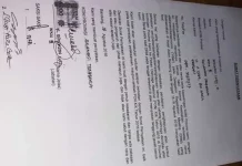 Ini Penyebab 4 Cabor Tidak Terdaftar di PB PON