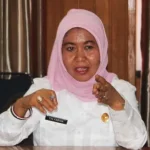 Kota Kendari Masih Kekurangan Armada Pengangkut Sampah Kepala Dinas Kebersihan Kota Kendari Tin Farida