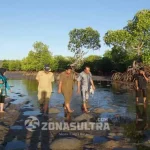 Proyek Rehabilitasi Mangrove di Konkep Gagal ? Rombongan Tim Dewan Perwakilan Rakyat Daerah (DPRD) kabupaten Konawe Kepulauan (Konkep) Sulawesi Tenggara (Sultra) saat melakukan peninjauan lokasa penanaman mangrove didesa pasir putih kecamatan Wawonii Barat pada senin (29/08/2016).(Arjab Karim/ZONASULTRA.COM)